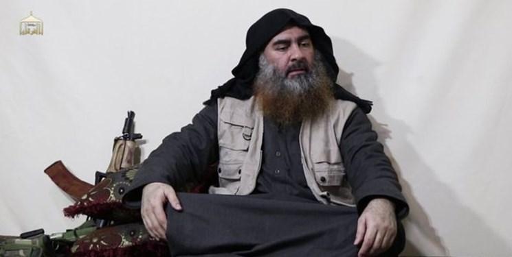 روزنامه سعودی بررسی کرد؛ مرگ سرکرده داعش و احیای القاعده روزنامه سعودی بررسی کرد؛ مرگ سرکرده داعش و احیای القاعده