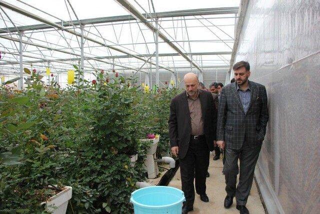مشکلی در حوزه کالاهای اساسی استان تهران وجود ندارد مسئله ای در حوزه کالاهای اساسی استان تهران وجود ندارد