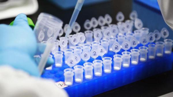 خبرنگاران پنج واکسن کرونا ساخت چین در مرحله سوم آزمایش بالینی قرار گرفته است