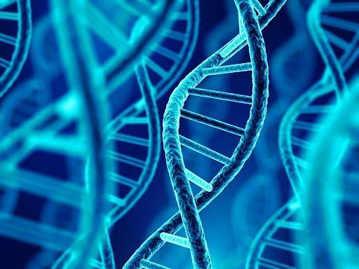 توسعه دو روش ژن درمانی برای اختلالات ذخیره لیزوزومی