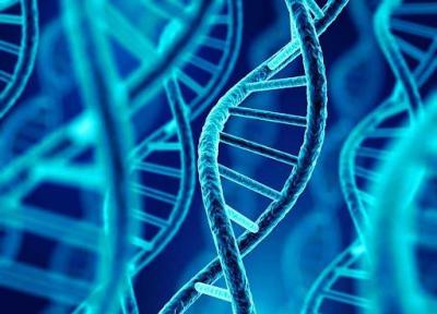 توسعه دو روش ژن درمانی برای اختلالات ذخیره لیزوزومی